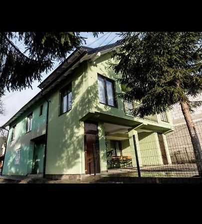 Hotel Casa Alma Borşa Exteriér fotografie