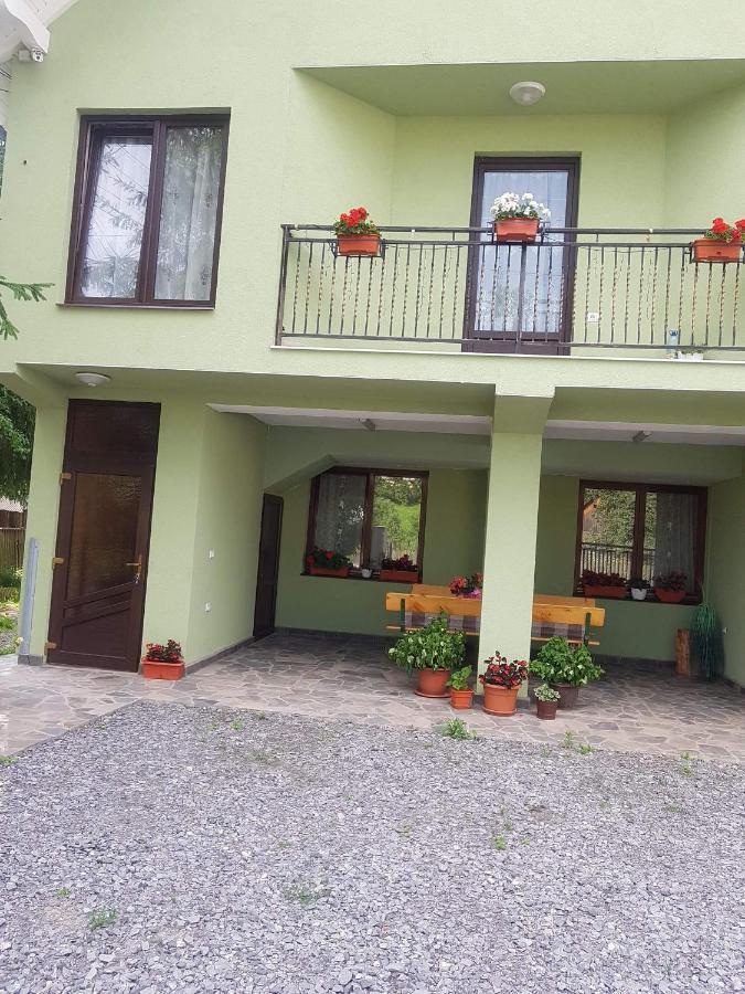 Hotel Casa Alma Borşa Exteriér fotografie