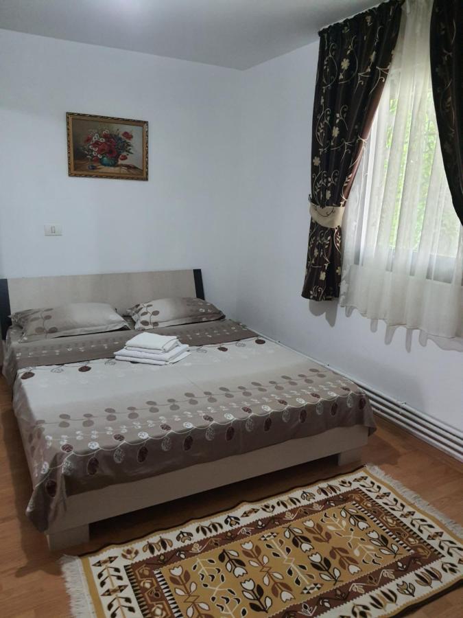 Hotel Casa Alma Borşa Exteriér fotografie