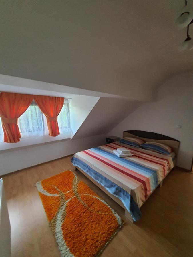 Hotel Casa Alma Borşa Exteriér fotografie