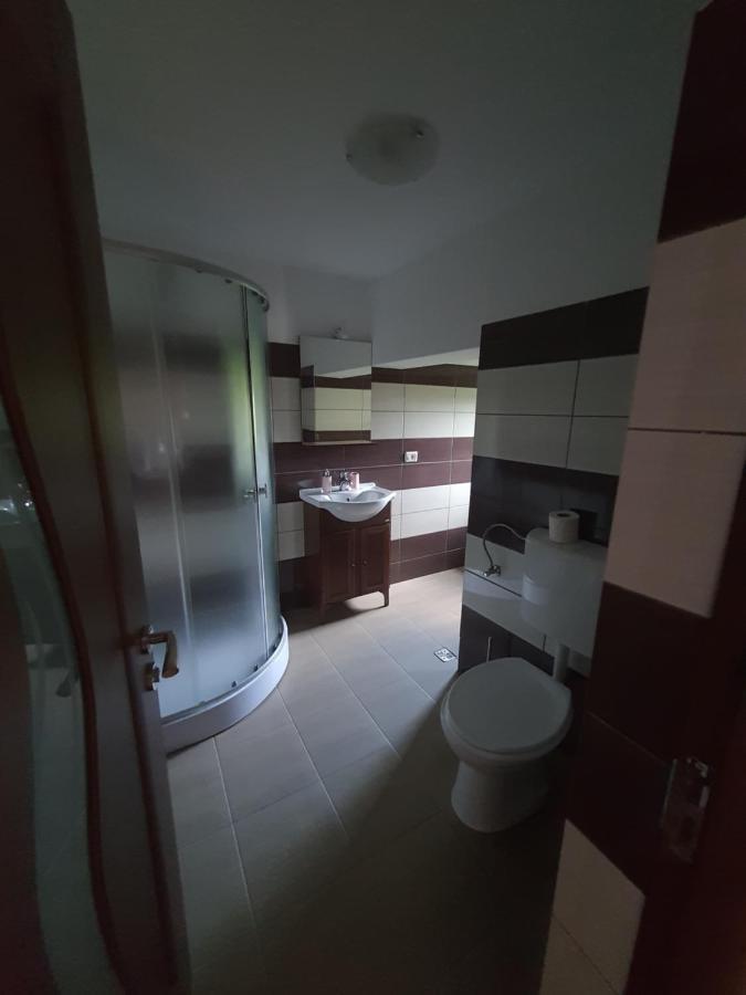 Hotel Casa Alma Borşa Exteriér fotografie