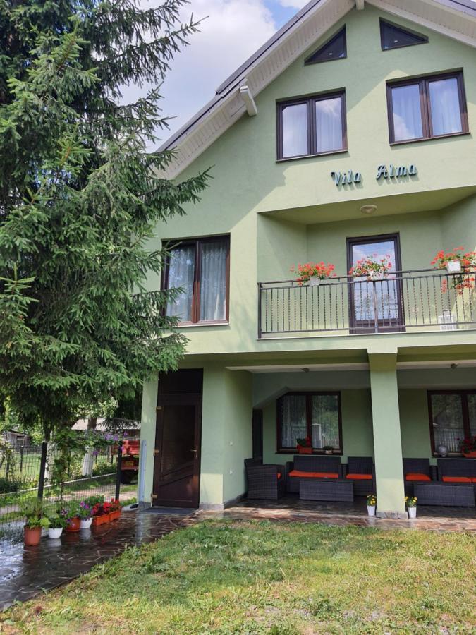 Hotel Casa Alma Borşa Exteriér fotografie